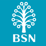 BSN-2